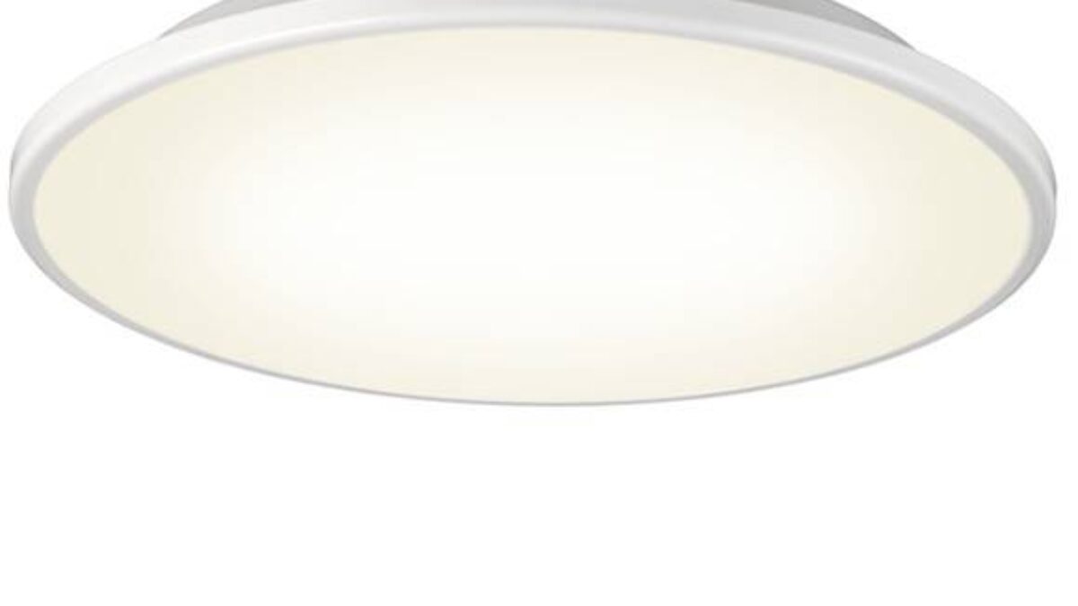 Disc
