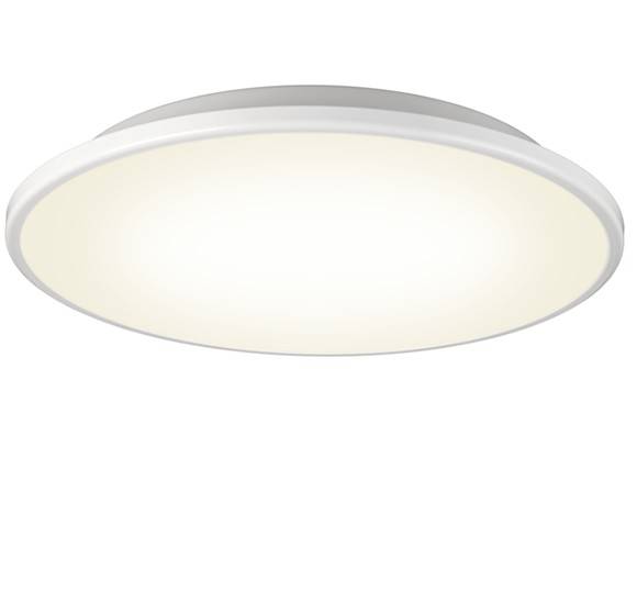 Disc
