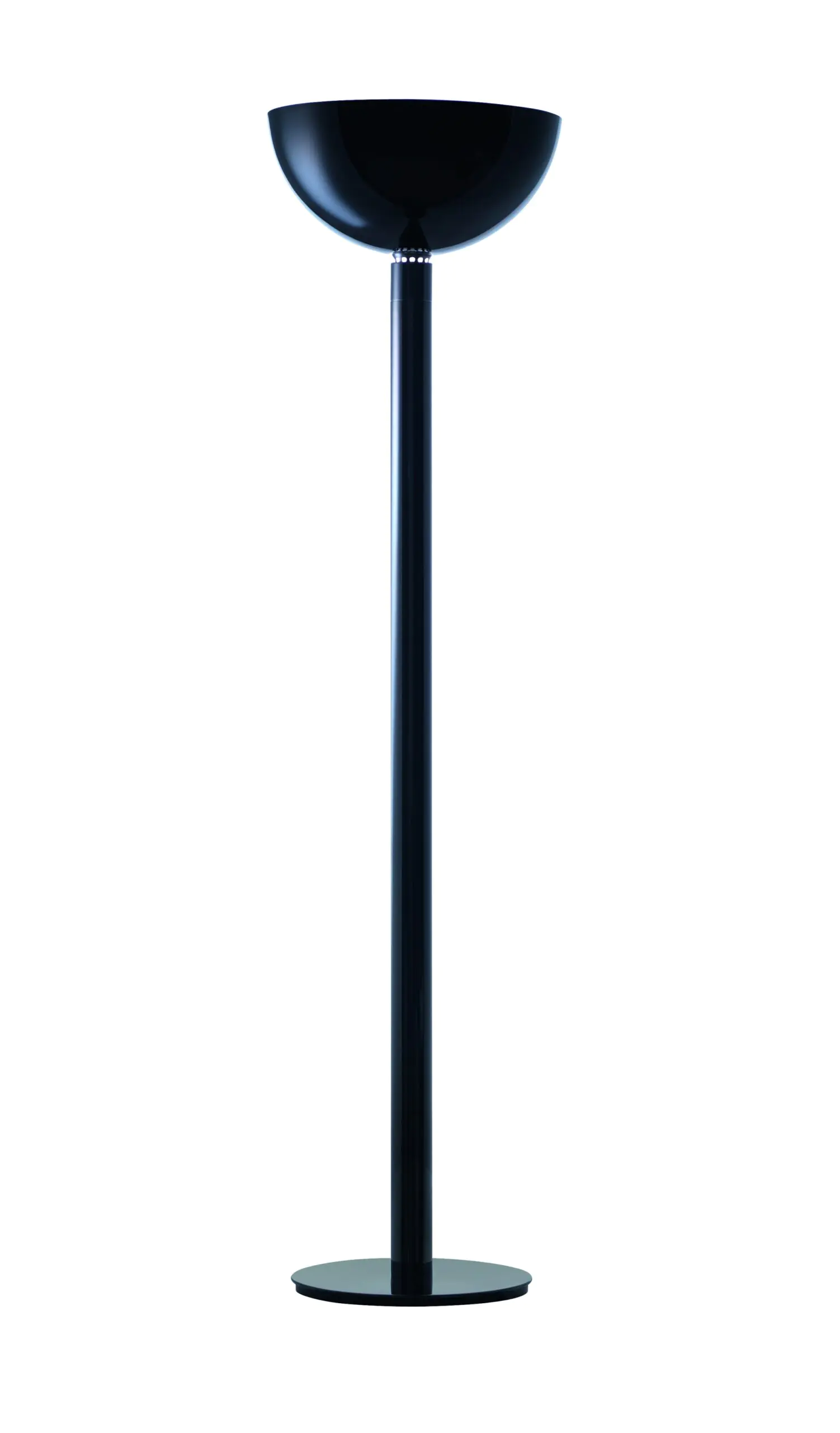 AM2Z