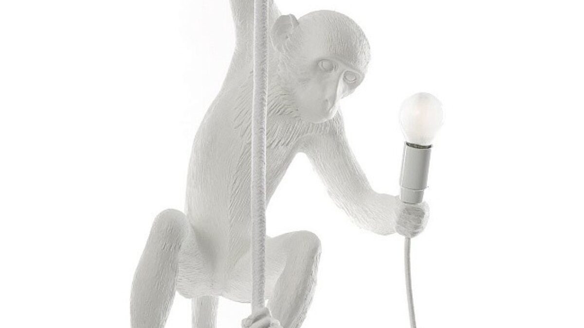 Monkey