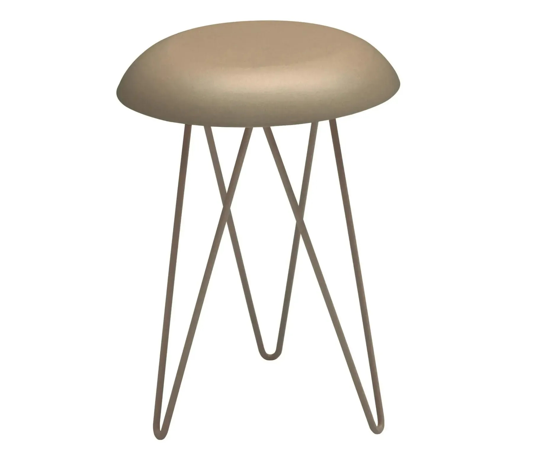 Meduse