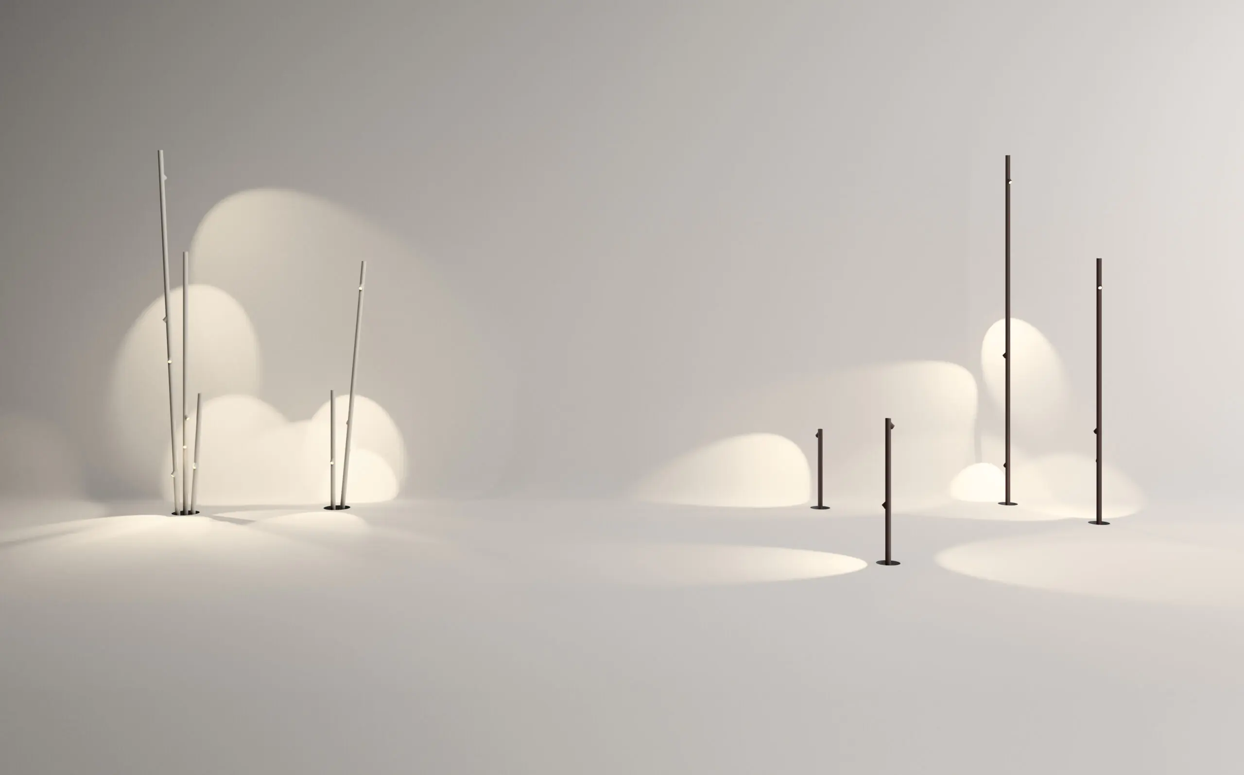 Bamboo