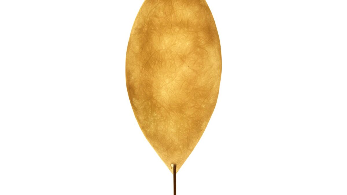 Malagolina