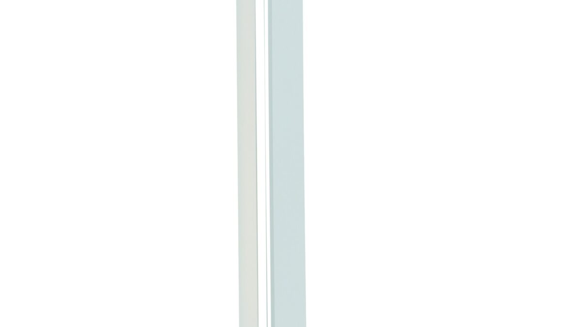 Ara