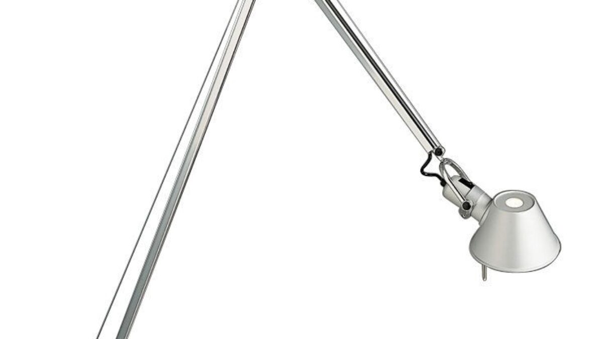 TOLOMEO BRACCIO