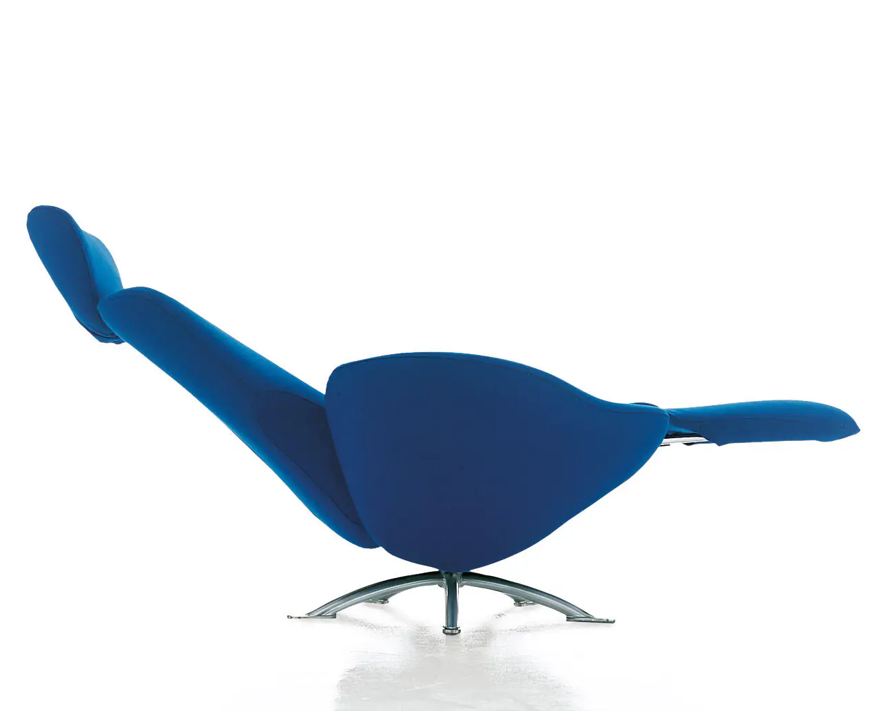 Dodo