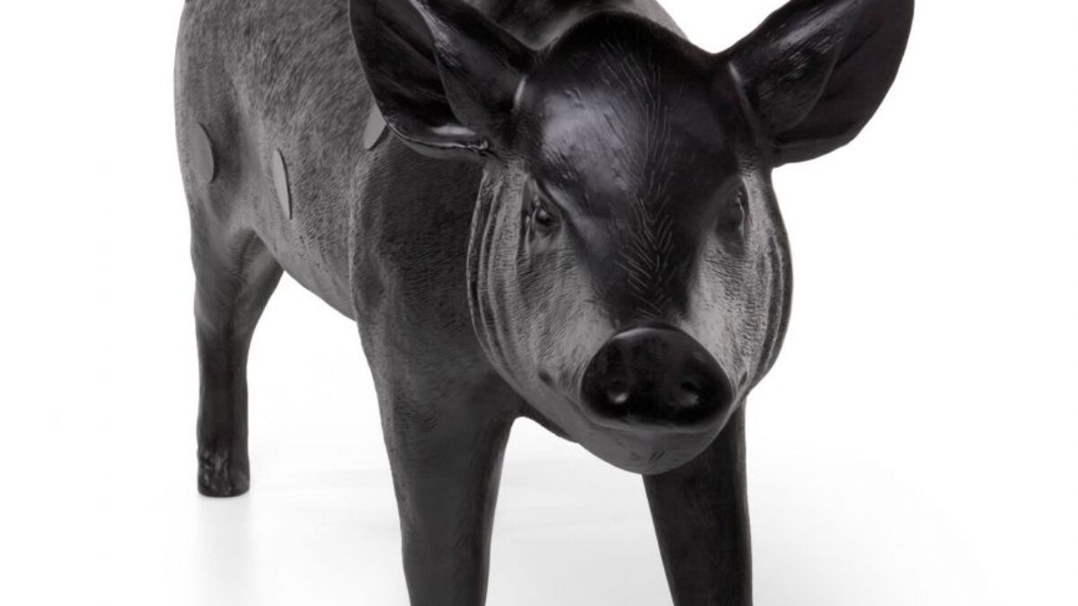 PIG