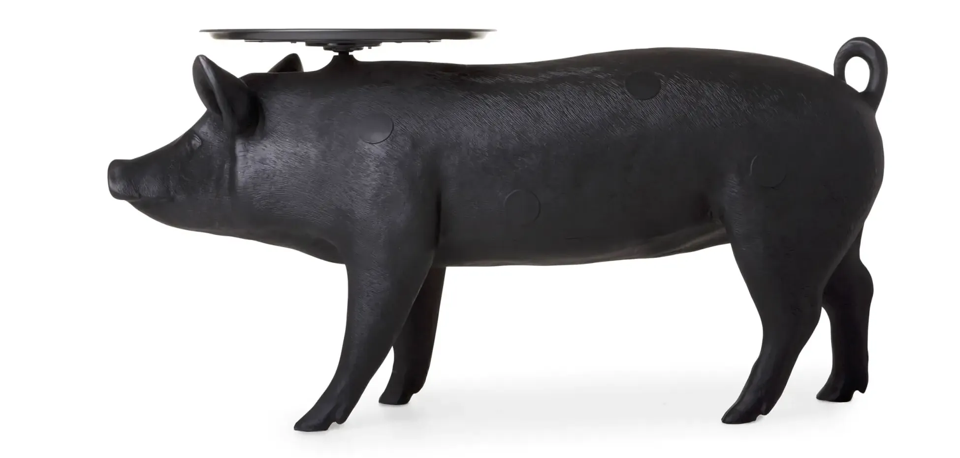 PIG