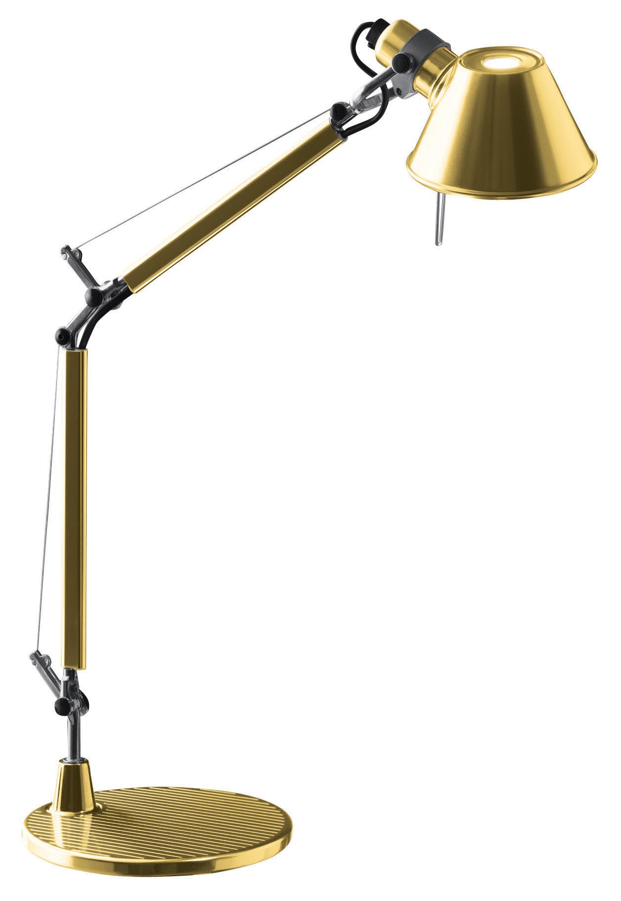 TOLOMEO micro