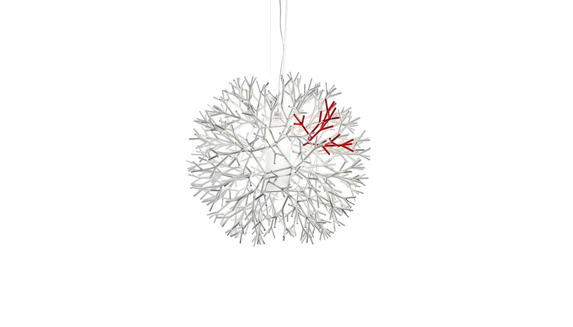 Coral 1000