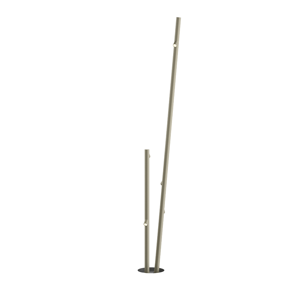 Bamboo