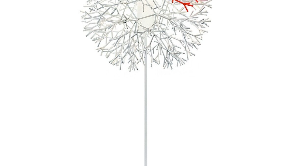 Coral 800