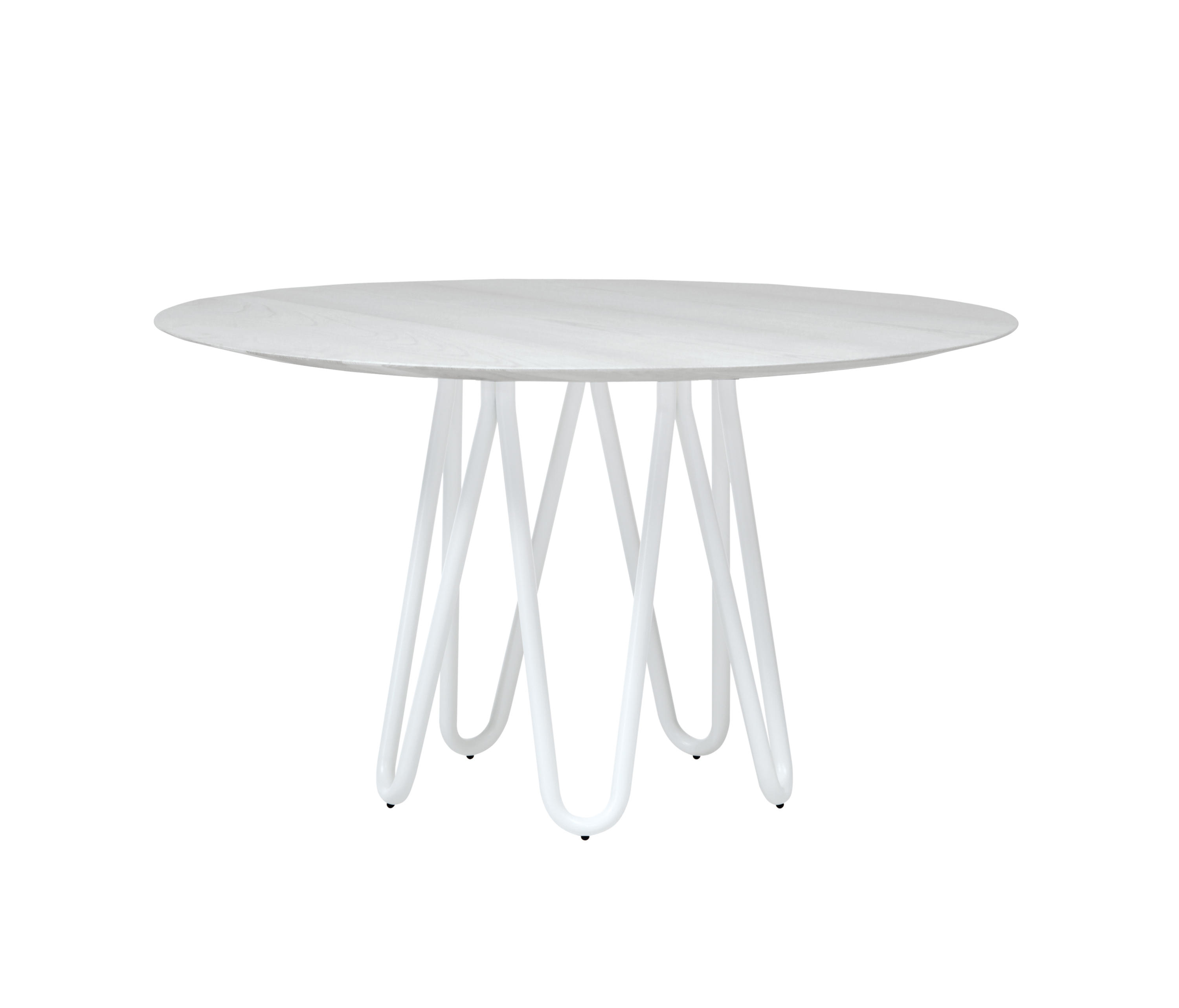 Meduse