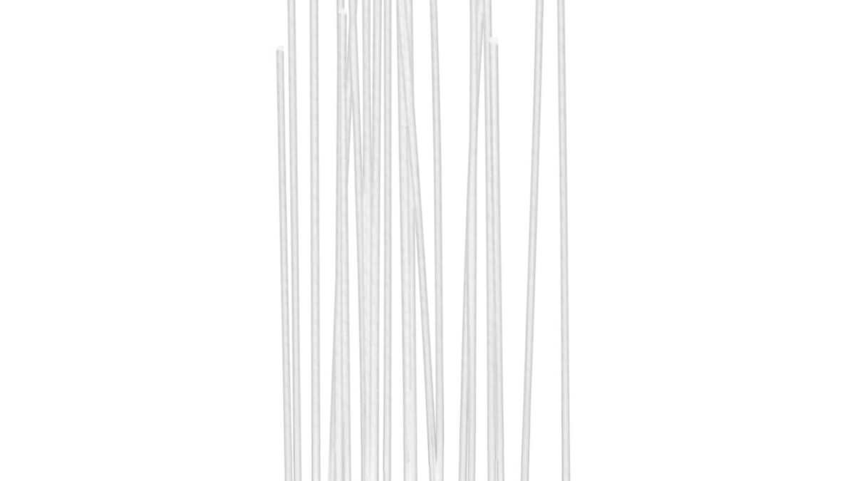 Reeds