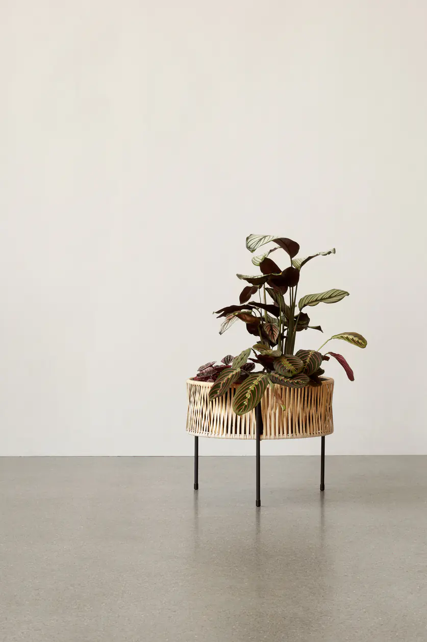 UMANOFF PLANTER
