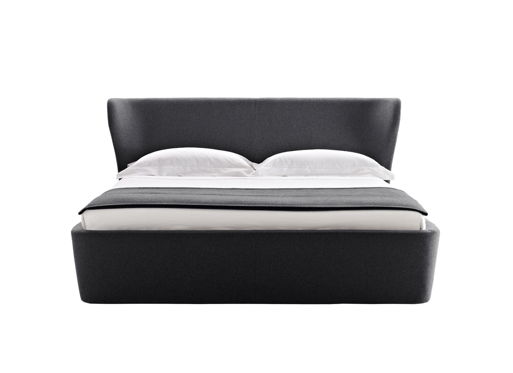 Papilio letto