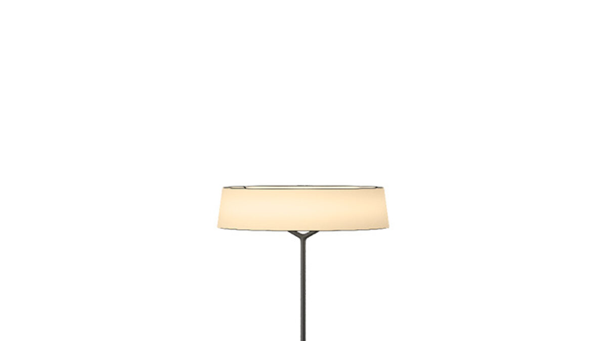 Dama