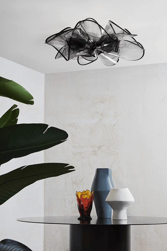 La Belle Etoile Ceiling/wall