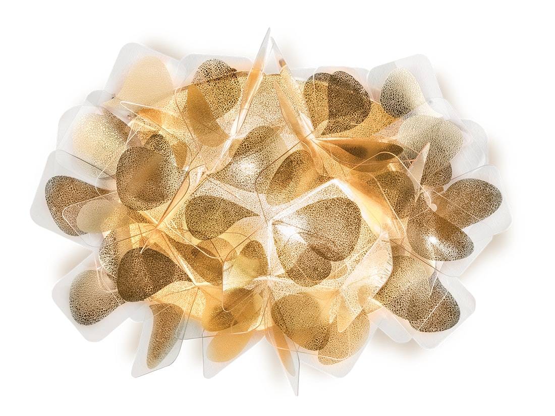 Clizia Mama Non Mama Applique