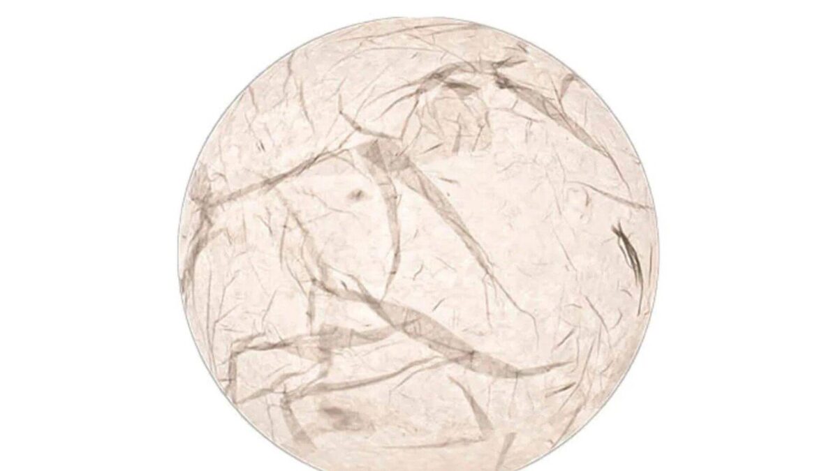 MOON T