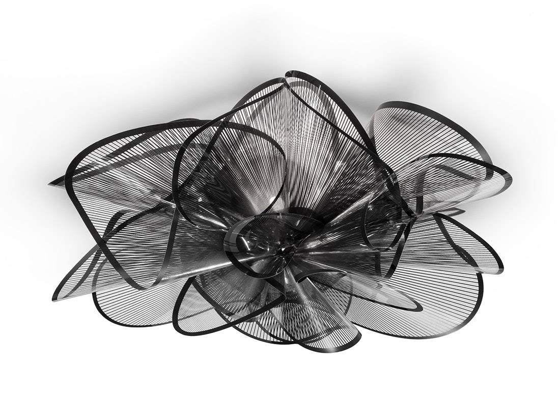 La Belle Etoile Ceiling/wall