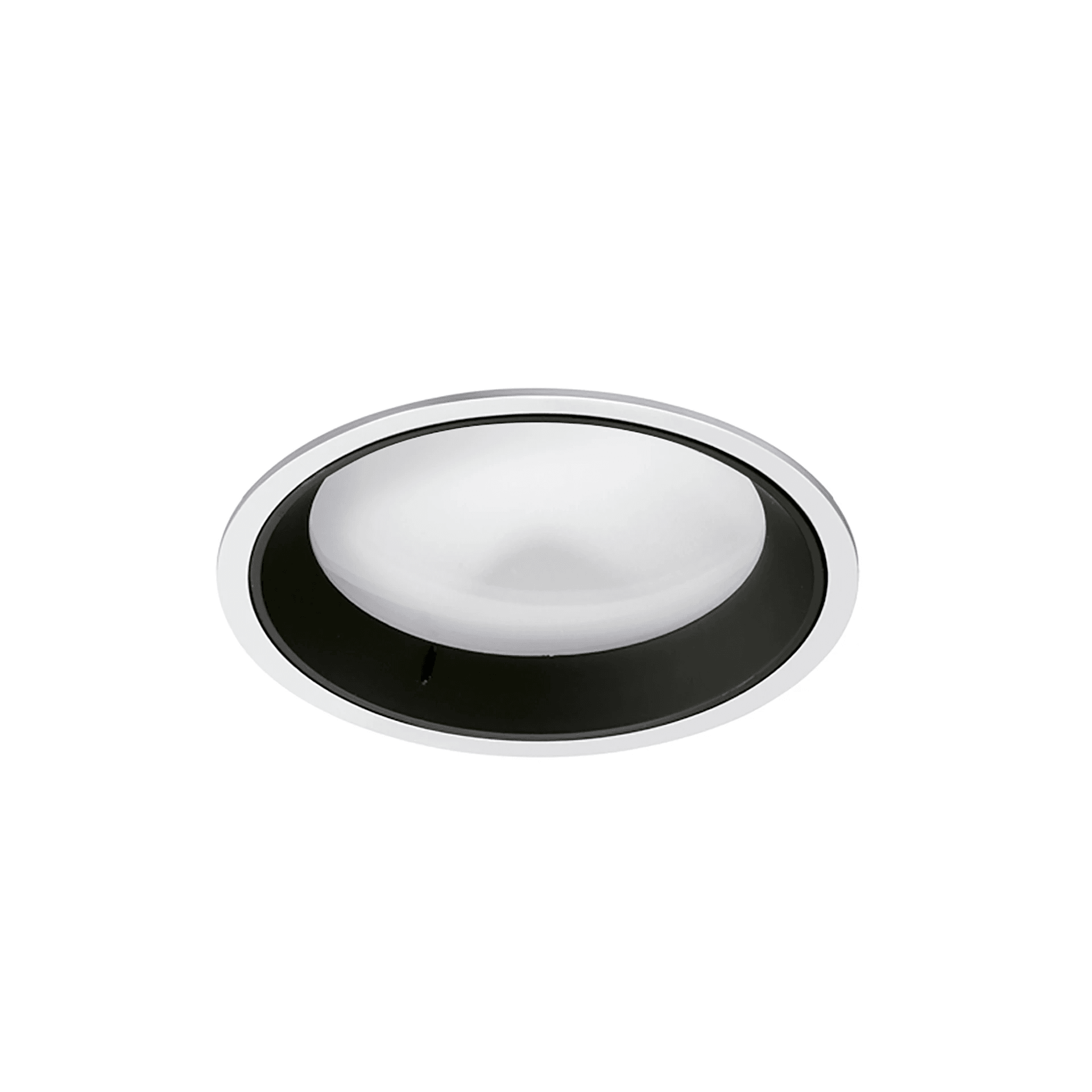 WAN DOWNLIGHT
