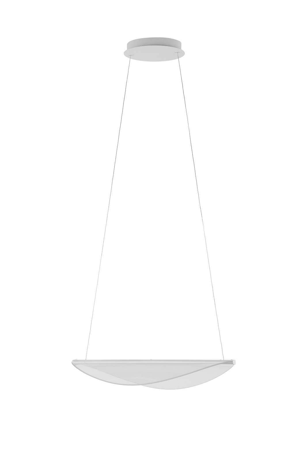 Diphy suspension