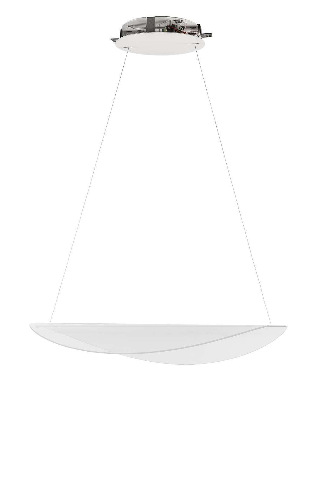 Diphy suspension