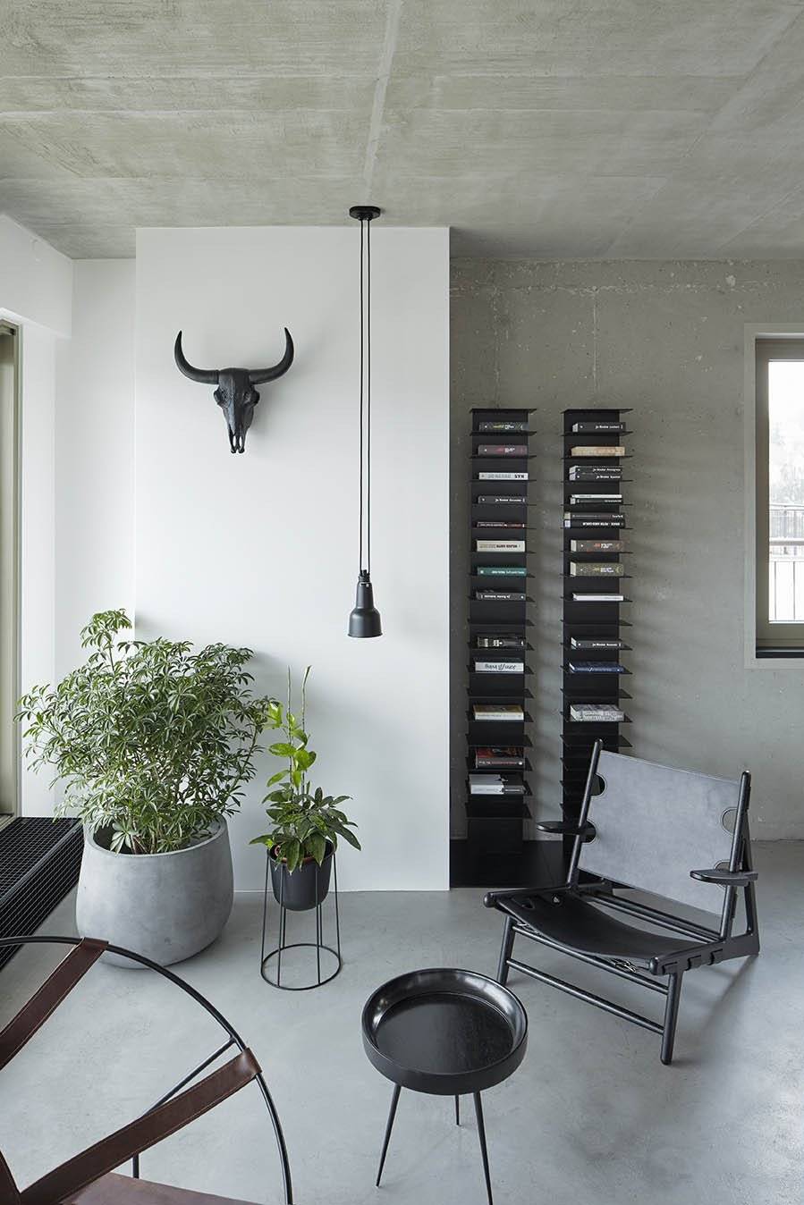 Acrobates de Gras N°322 Oculist