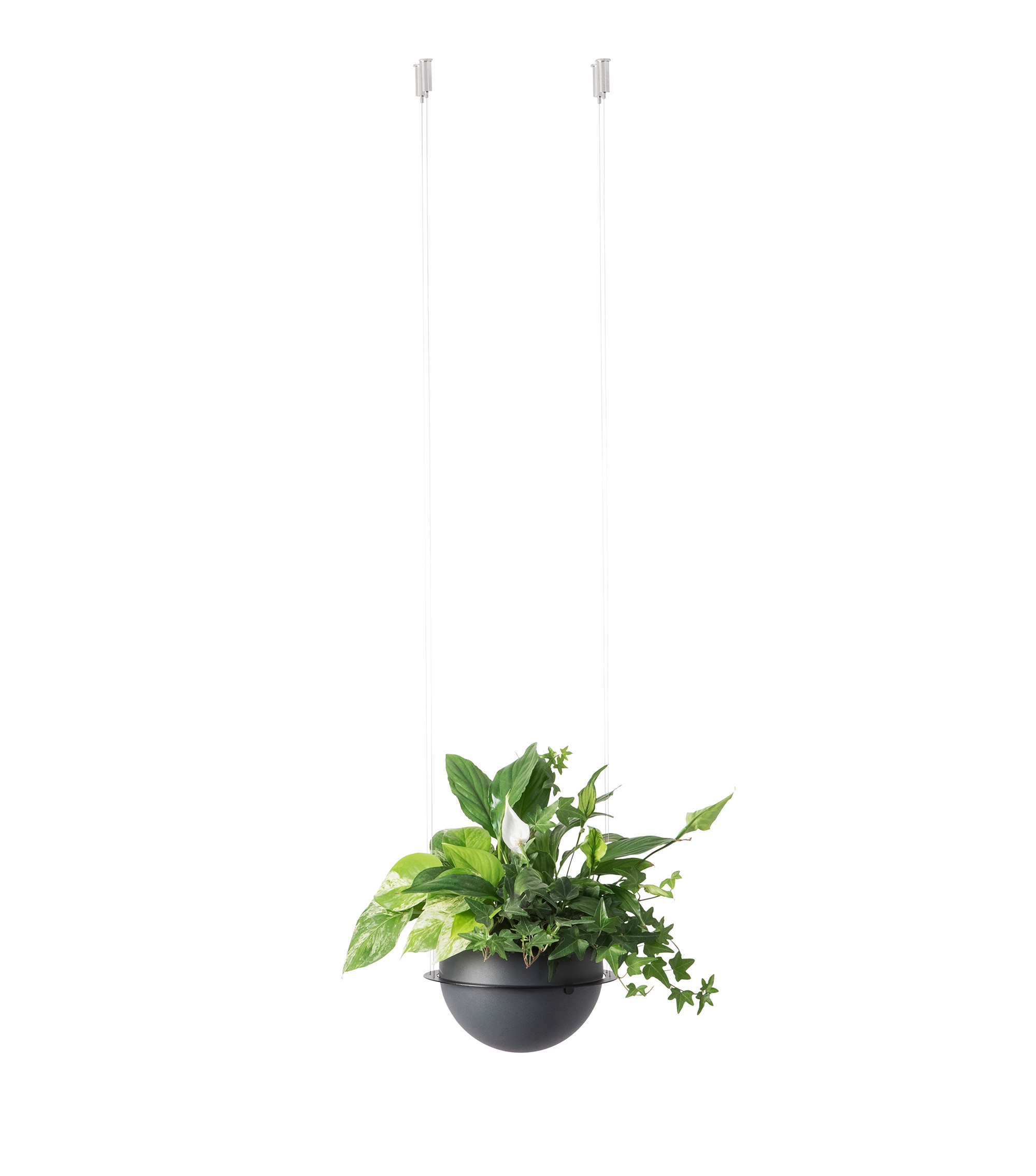 Circ Flower Pot suspension