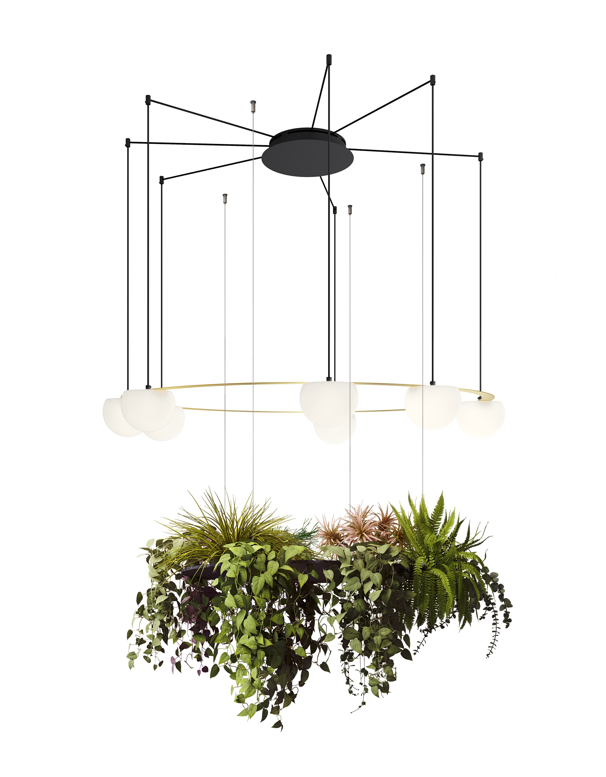 Circ Suspension lamps