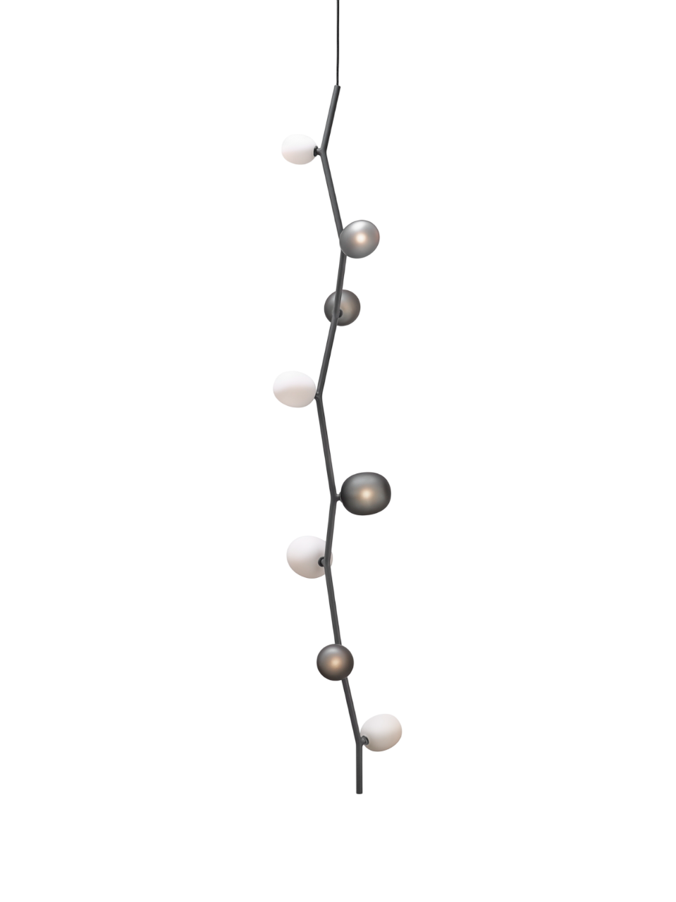 Ivy Vertical