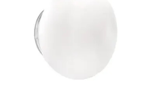 LUCCIOLA