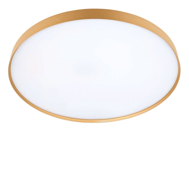Compendium Plate