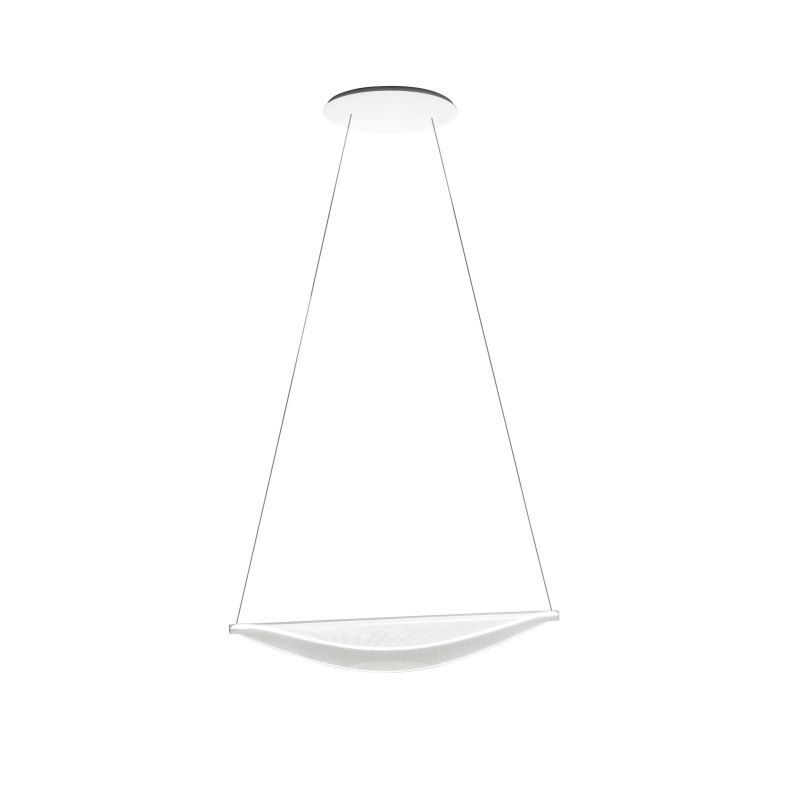 Diphy suspension