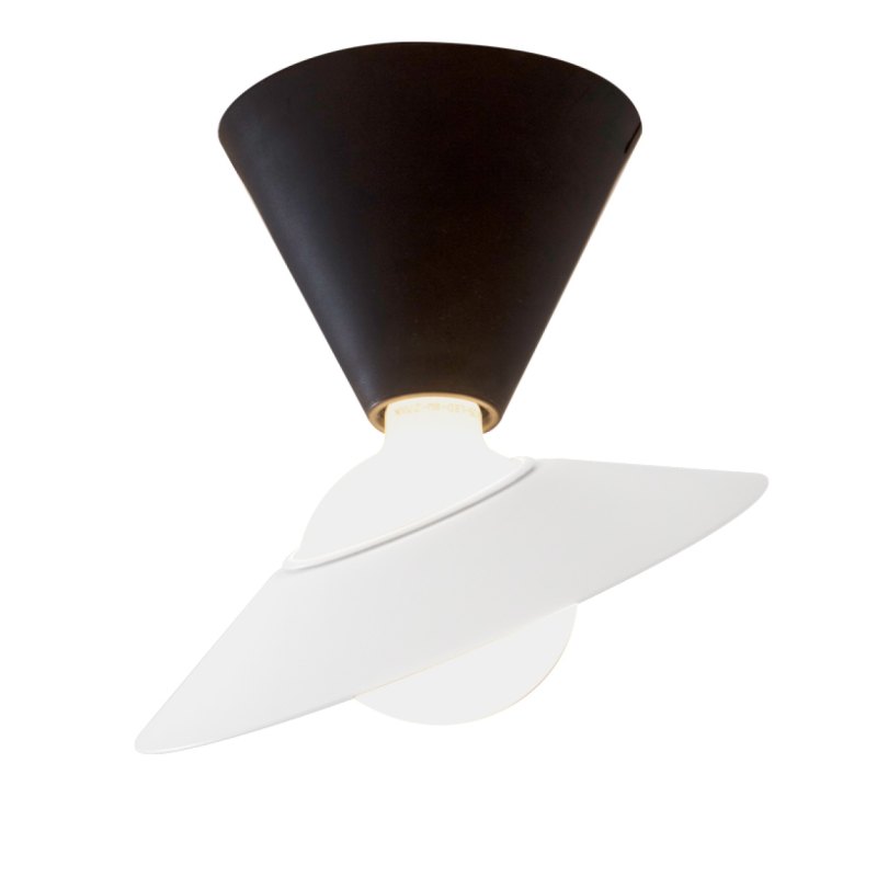 Fante ceiling