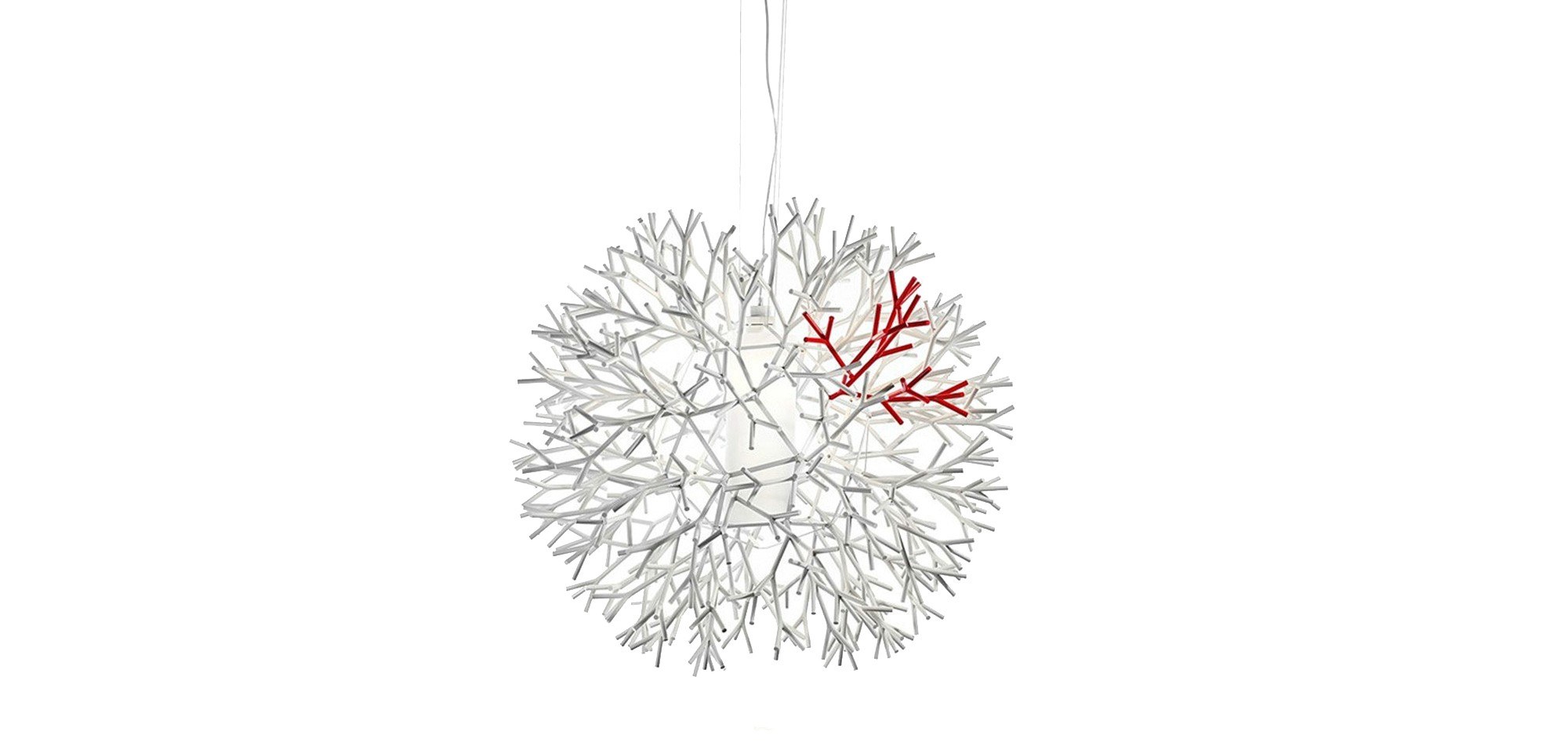 Coral 1000