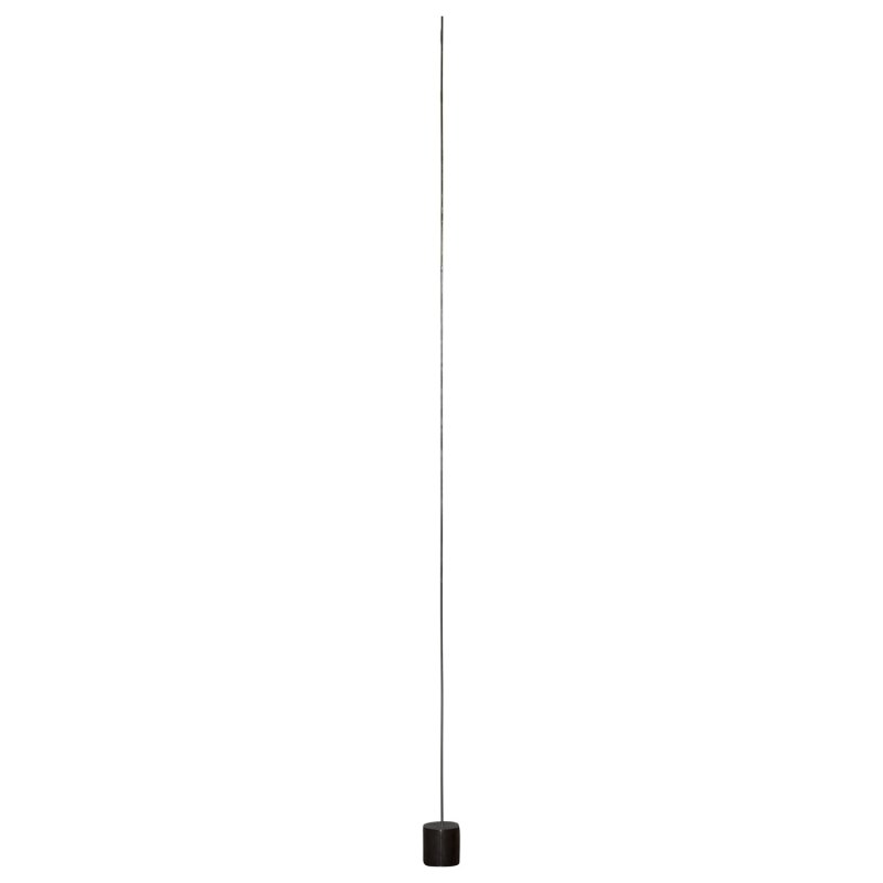 Light Stick