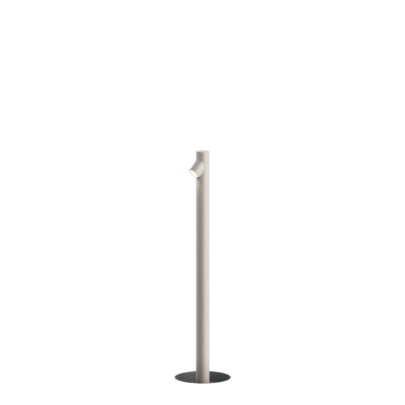 Bamboo