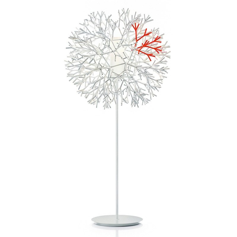 Coral 800