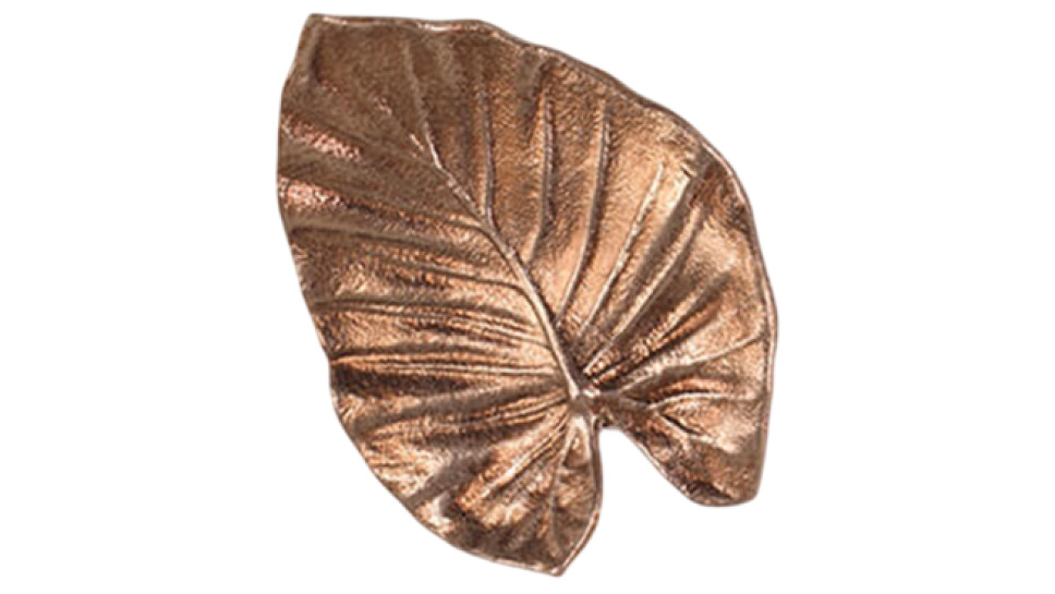 Calathea Leaf Twisted