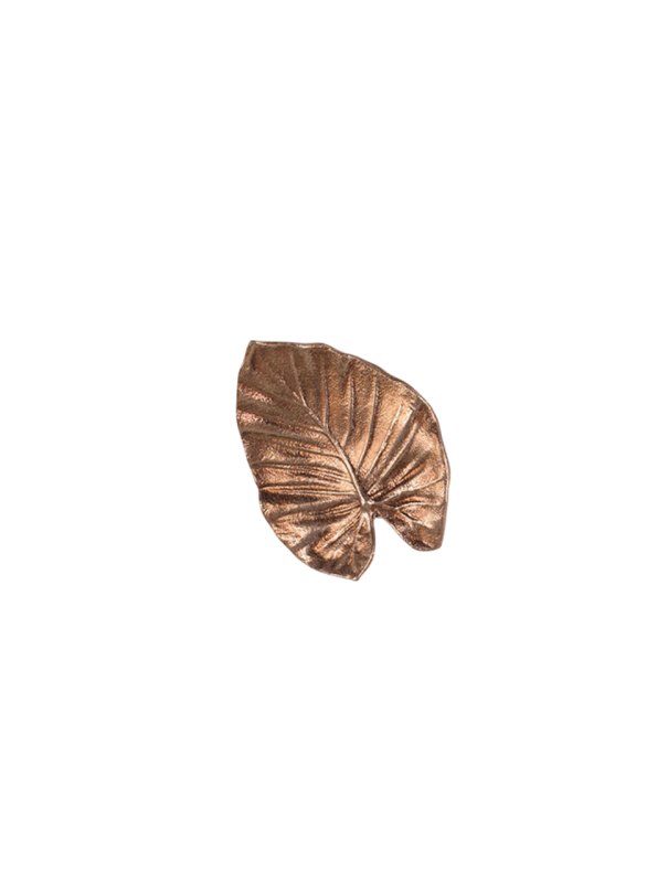 Calathea Leaf Twisted