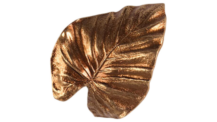 Calathea Leaf Warp