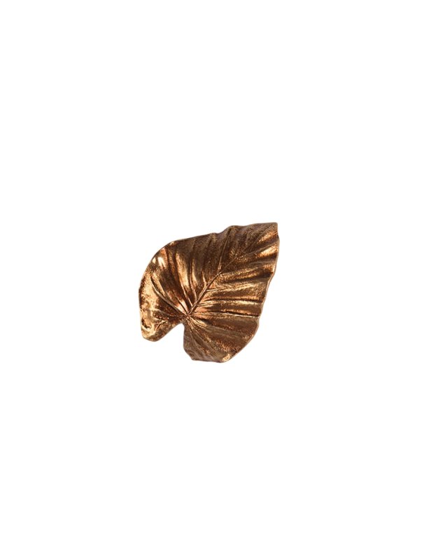 Calathea Leaf Warp