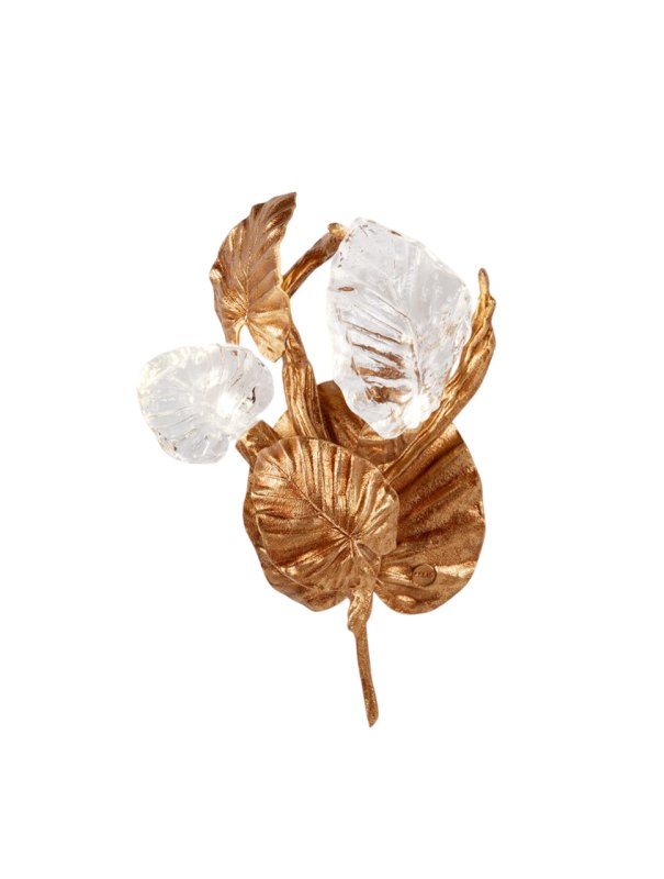 Calathea Makoyana
