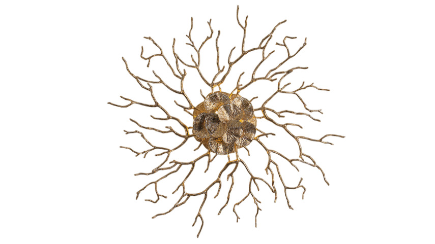 Coral Zoa Eye