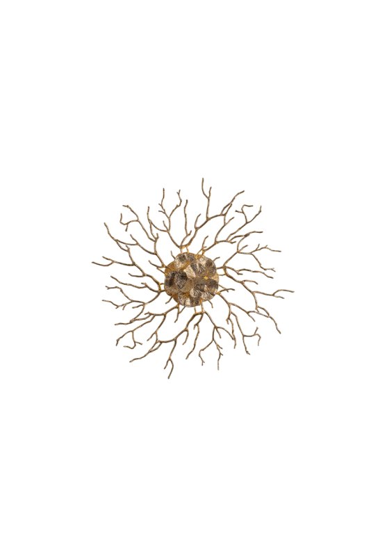 Coral Zoa Eye