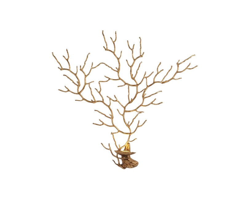 Coral Sea Fan