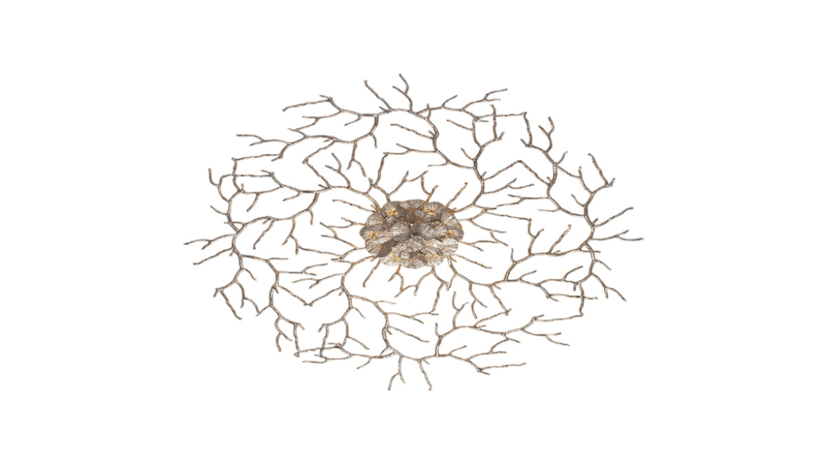 Coral Zoa Eye ceiling