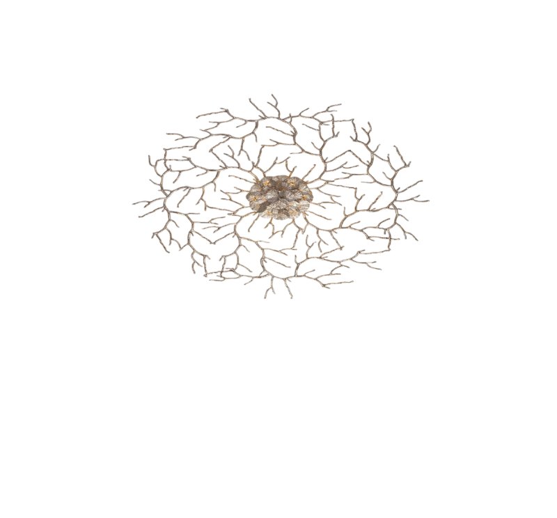Coral Zoa Eye ceiling